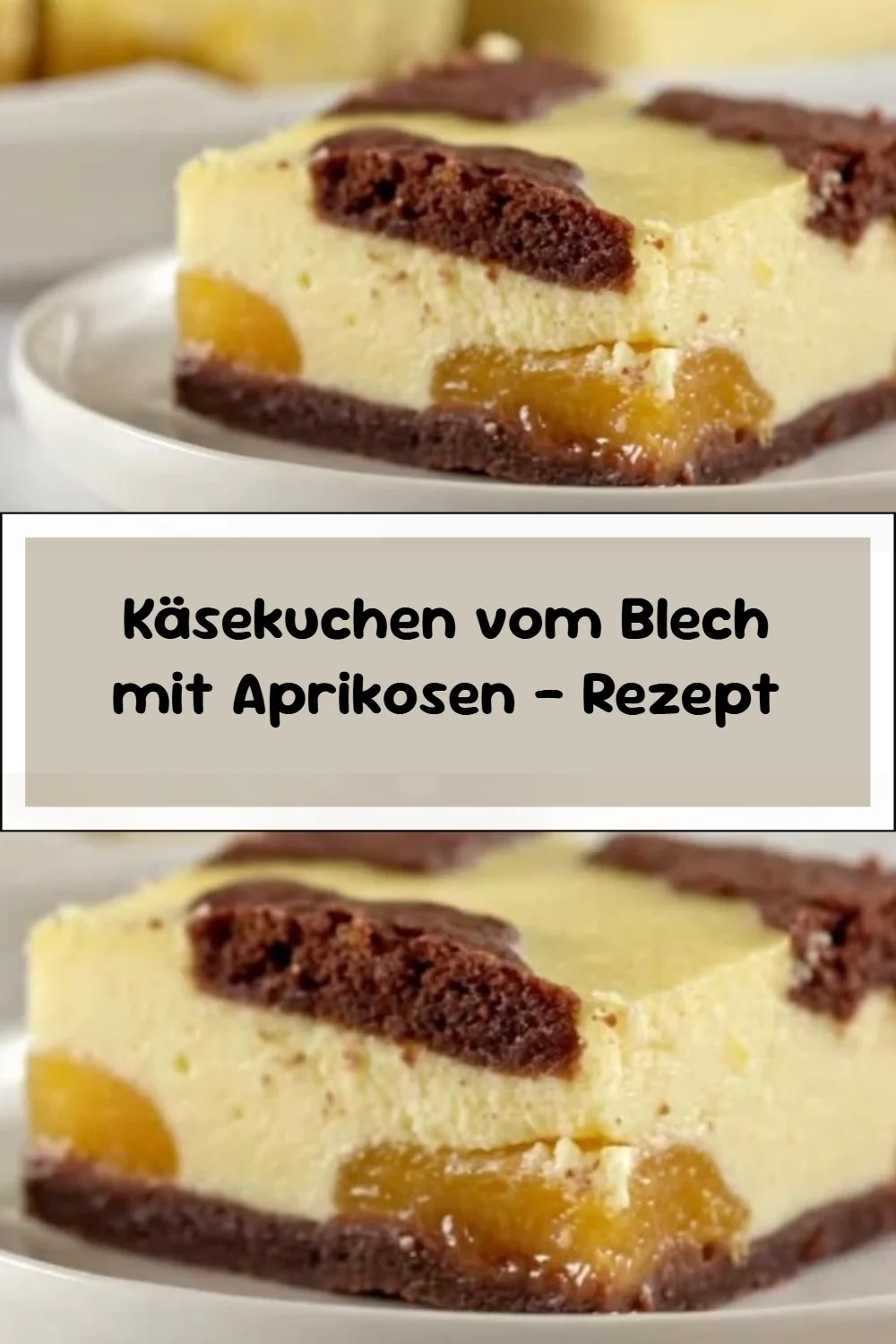 Käsekuchen vom Blech mit Aprikosen – Rezept
